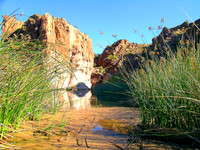 Colorado River - Topock Gorge 1538