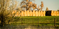 Longmont CO 3679