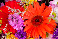 Flowers 3540
