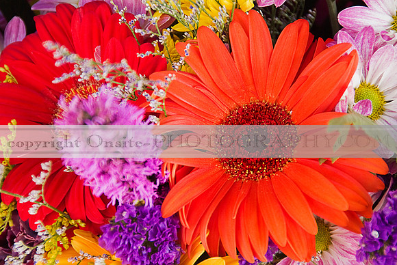 Flowers 3540