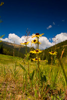 Rocky Mountain Nationl Park 3542