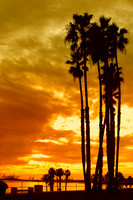 Sunset 2504