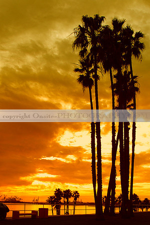 Sunset 2504