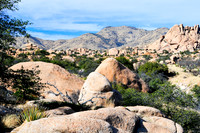 AZ - Desert
