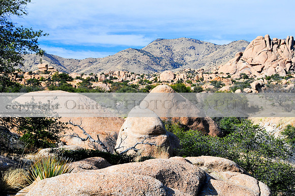 AZ - Desert