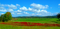 New Hampshire - Colors of Autumn 1603