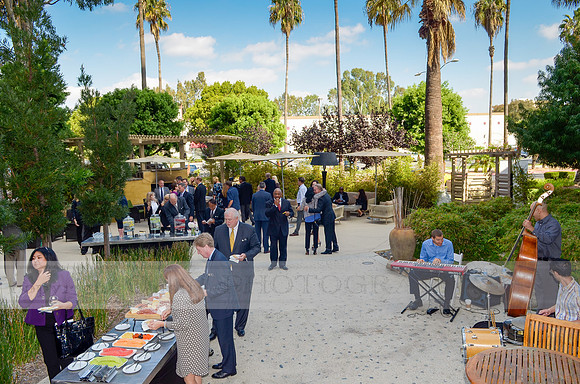 Premier Partner Awards