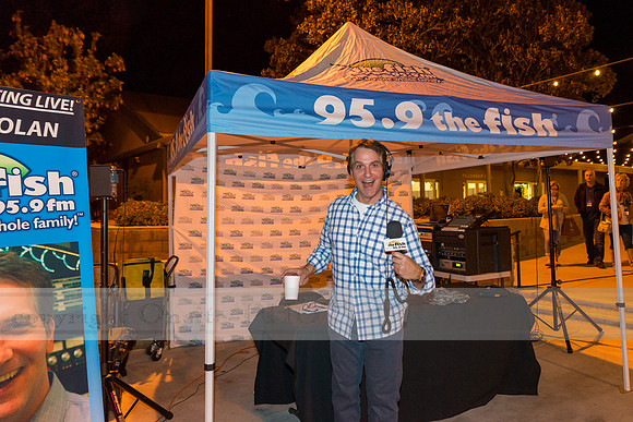 95.9 The Fish Christmas Concert - 2015