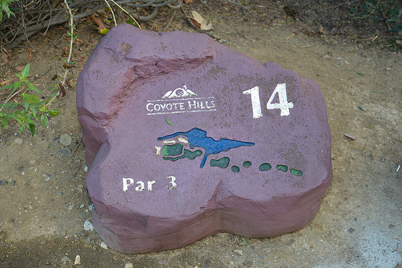 Black Chamber of Commerce of Orange County Golf Tournament - 2013