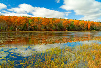 Connecticut - Colors of Autumn 1677