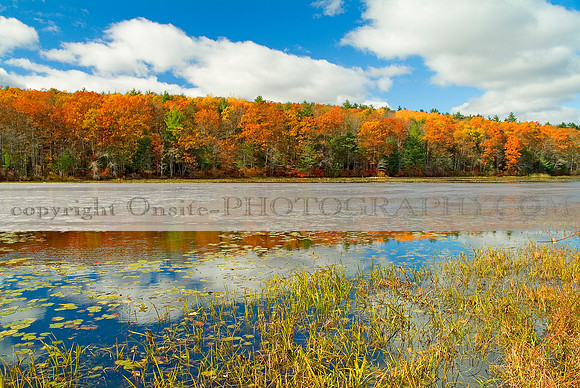 Connecticut - Colors of Autumn 1677