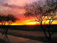 Sunset 2510