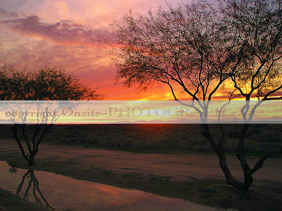 Sunset 2510