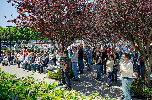 2015 Acura TLX Press Event Aug 8th 2014 Photos