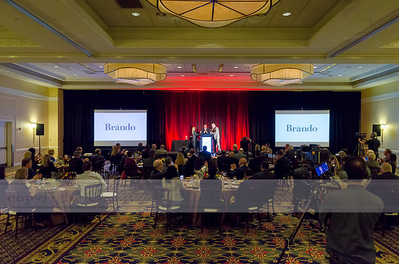 Premier Partner Awards