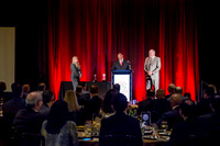 Premier Partner Awards