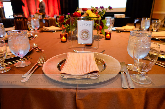 Premier Partner Awards
