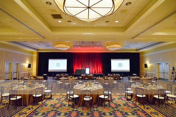 Premier Partner Awards