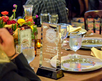 Premier Partner Awards