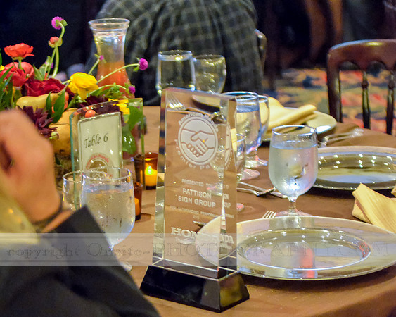 Premier Partner Awards