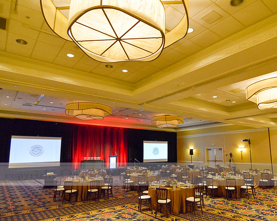 Premier Partner Awards