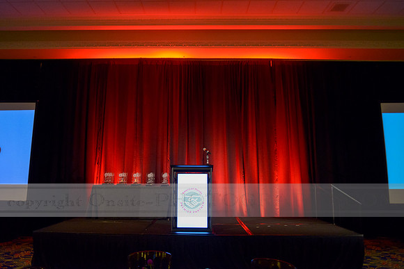 Premier Partner Awards
