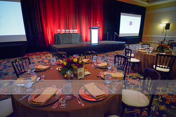 Premier Partner Awards
