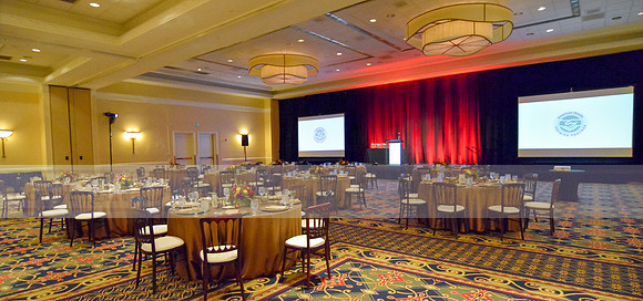 Premier Partner Awards