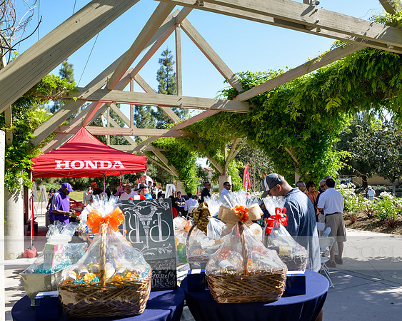 Onsite-Photography-1024