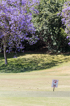 Onsite-Photography-1231