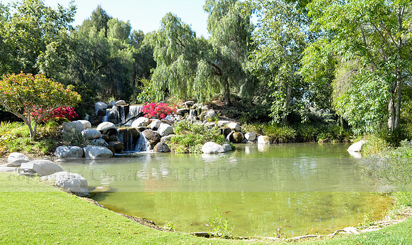 Onsite-Photography-1022