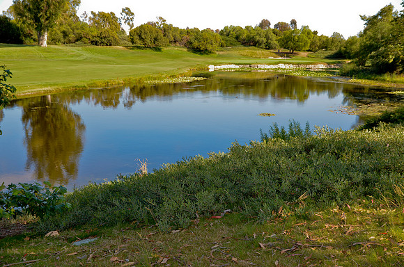 100 Black Men Golf Tournament