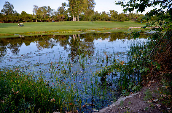 100 Black Men Golf Tournament