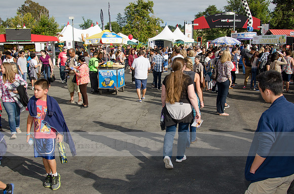 Fishfest 2015 at the Verizon Amphitheater