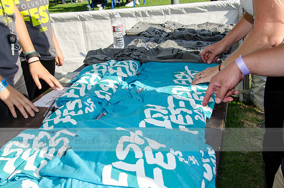 Fishfest 2015 at the Verizon Amphitheater