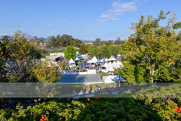 Fishfest 2015 at the Verizon Amphitheater