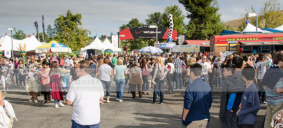Fishfest 2015 at the Verizon Amphitheater