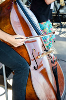 Fishfest 2015 at the Verizon Amphitheater