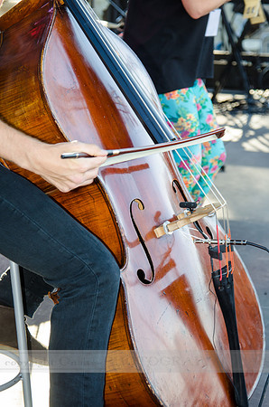 Fishfest 2015 at the Verizon Amphitheater