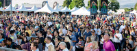 Fishfest 2015 at the Verizon Amphitheater