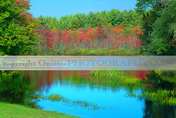New Hampshire - Colors of Autumn 1638