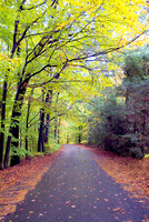 Connecticut - Colors of Autumn 1677