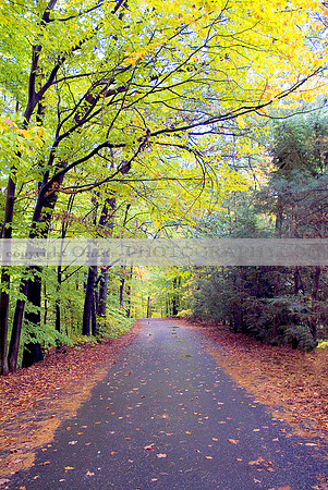 Connecticut - Colors of Autumn 1677