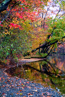 Connecticut - Colors of Autumn 1683