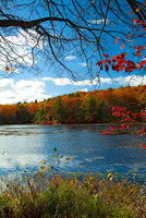 Connecticut - Colors of Autumn 1698