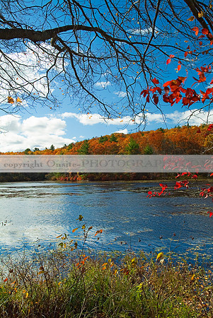 Connecticut - Colors of Autumn 1698