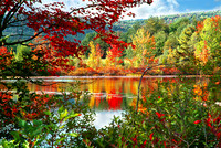 Colors of Autumn