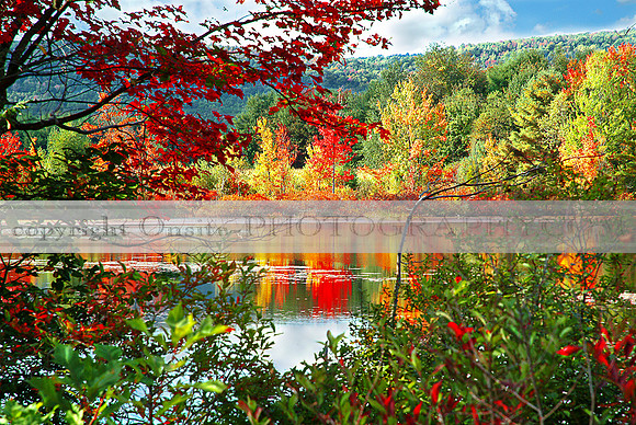 New Hampshire - Colors of Autumn 1608