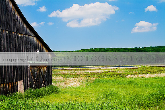 Lakeville, PA 3009
