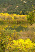 Temecula CA - Colors of Autumn 1625